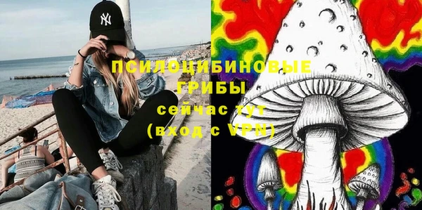 МДПВ Бугульма