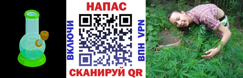 Конопля White Widow  магазин продажи наркотиков  Армавир 